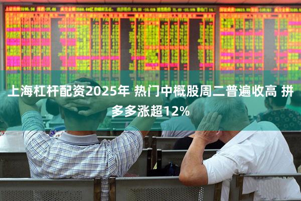 上海杠杆配资2025年 热门中概股周二普遍收高 拼多多涨超12%
