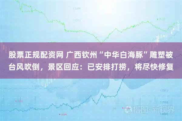 股票正规配资网 广西钦州“中华白海豚”雕塑被台风吹倒，景区回应：已安排打捞，将尽快修复